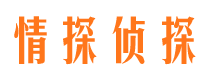 内江外遇调查取证